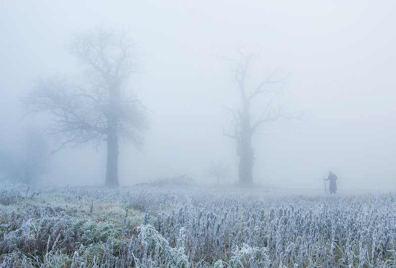 Świtem samotni фото превью