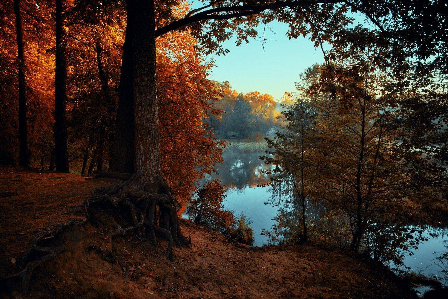 , Александр Фанковин