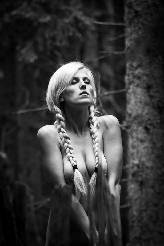 Alone in forest фото превью