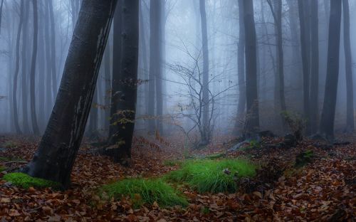 Mount Ślęża and its misty forest