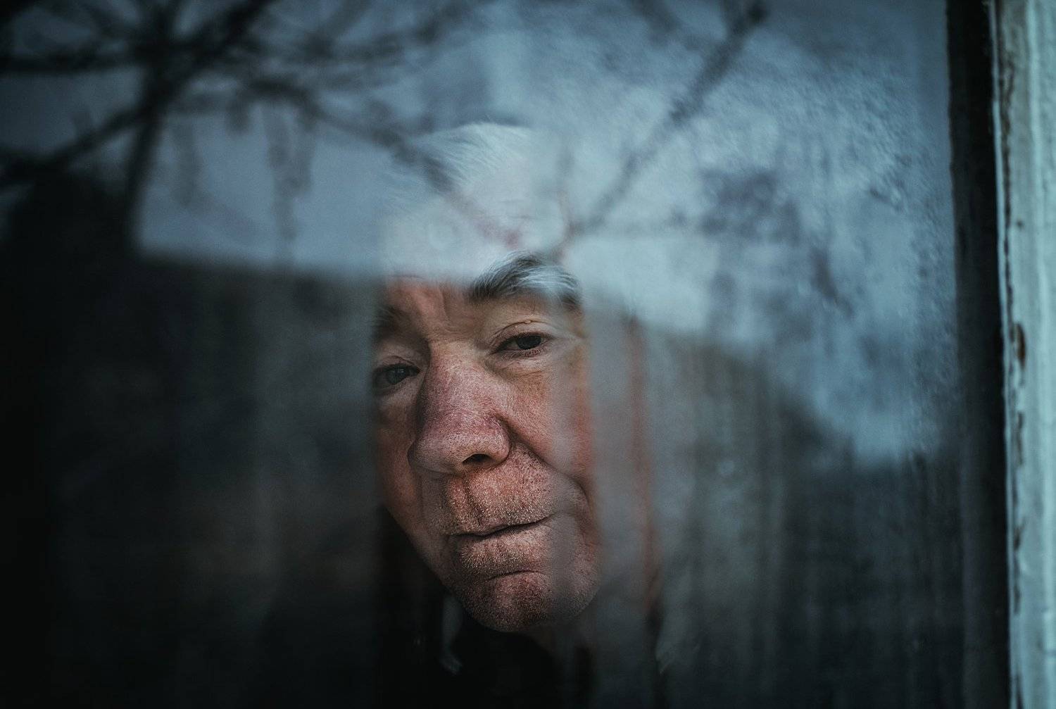 , Виталий Шевченко