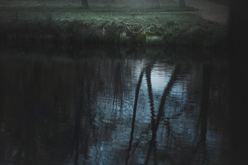 quiet фото превью