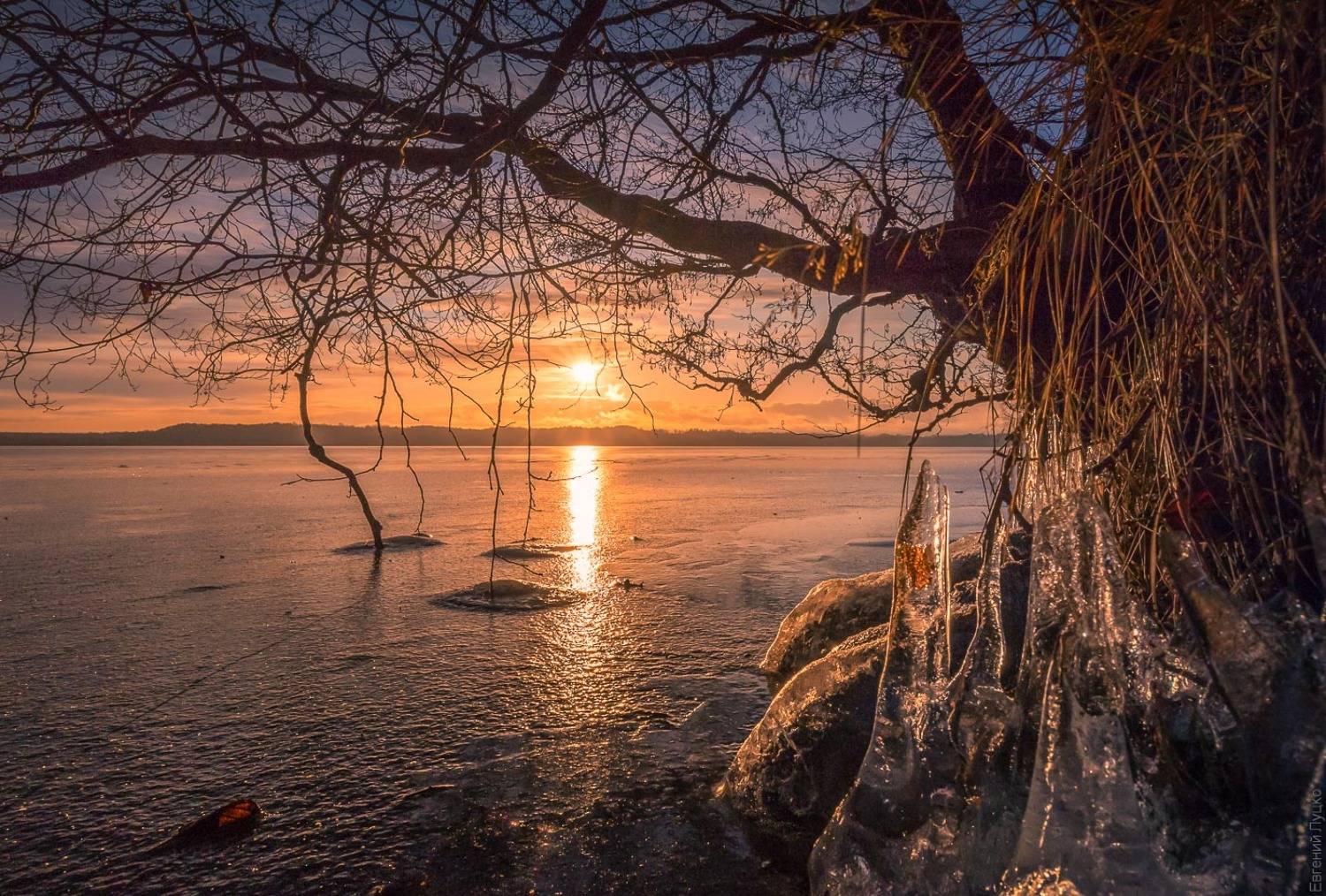 , Евгений Луцко