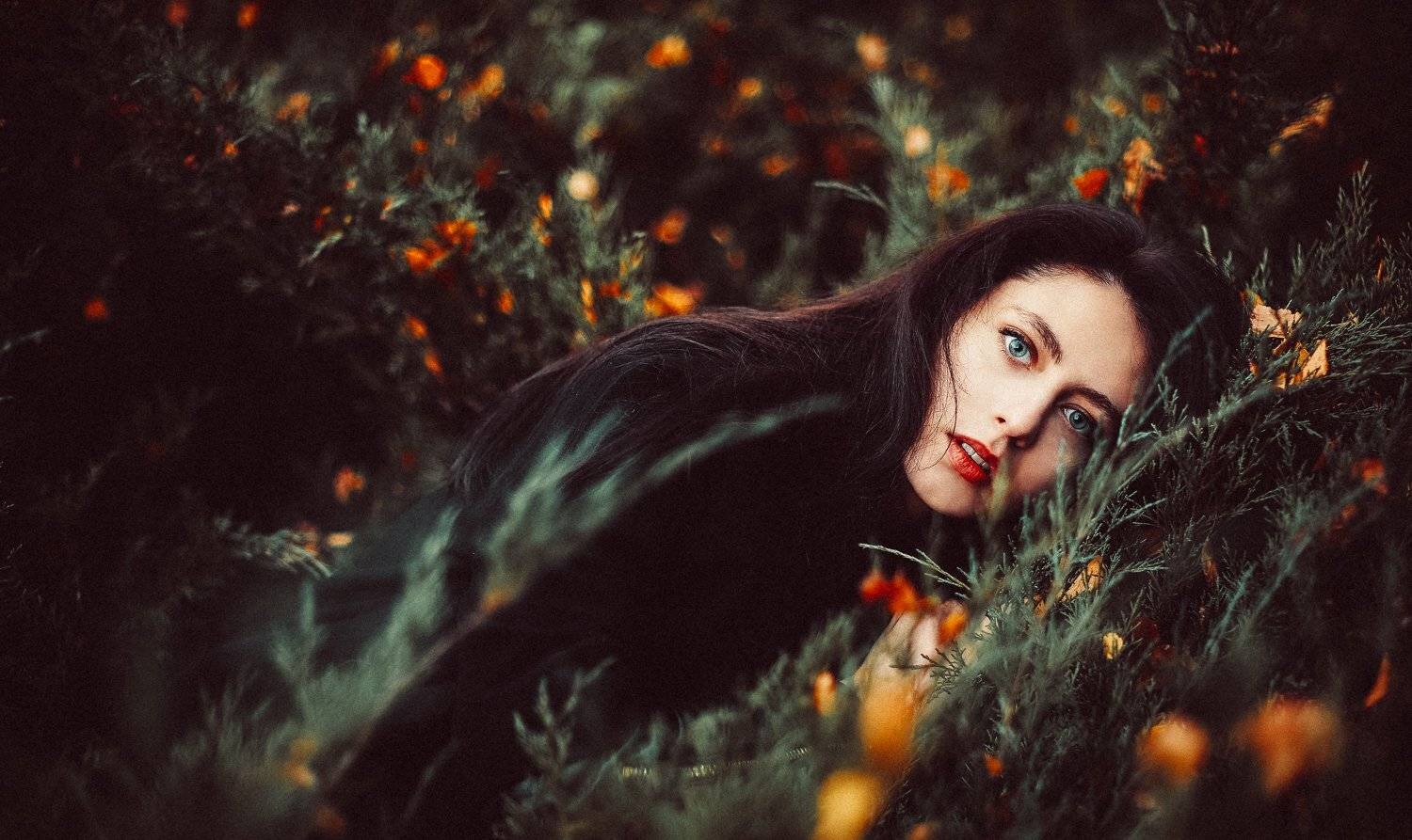 , Александр Фанковин