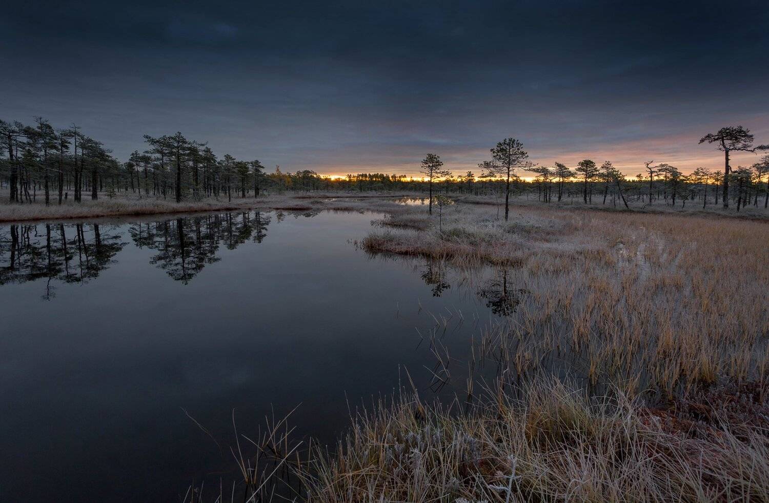 болото, кайф, рассвет ,север ,солнце, свет, закат, облака, отражение, фототур, Павел Ващенков