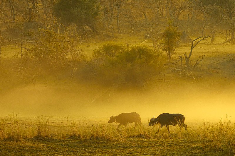 river фото превью