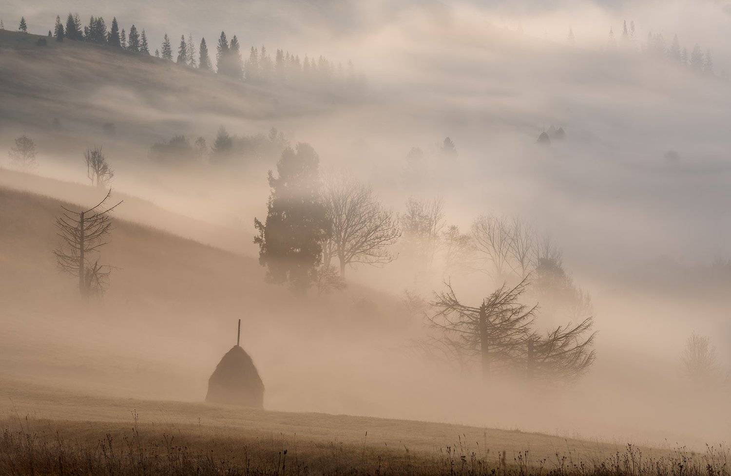 карпаты, изки, туман, деревня, Ольга Рудченко