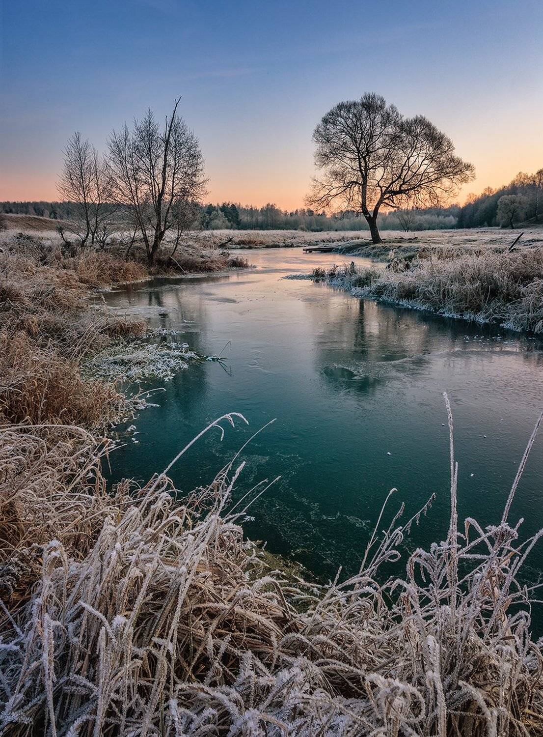 , Николай Андреев
