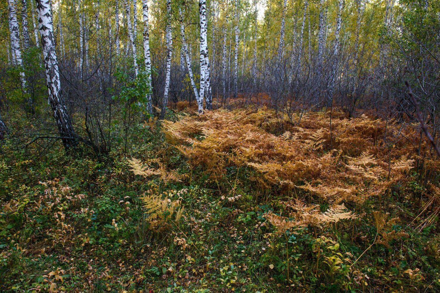 , Кутыгин Эдуард