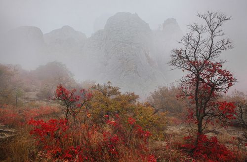 Осенний пейзаж..
