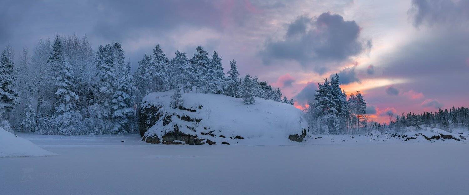 ладожское озеро, карелия, зима, сосна, в снегу, заснеженное, остров, снег, зимнее, рассвет, заря, тучи, скала,, Лашков Фёдор
