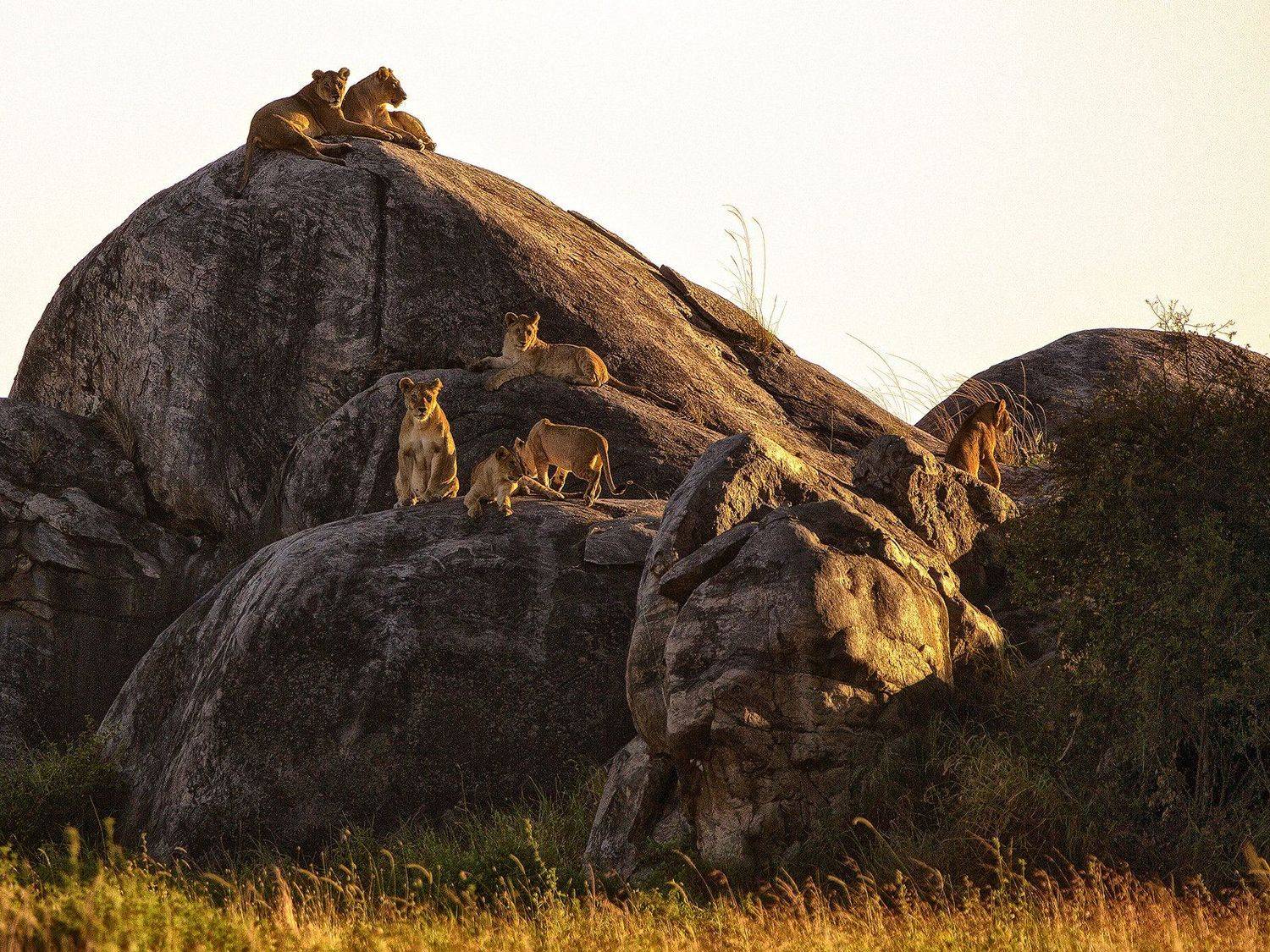 , Рашид Усманов