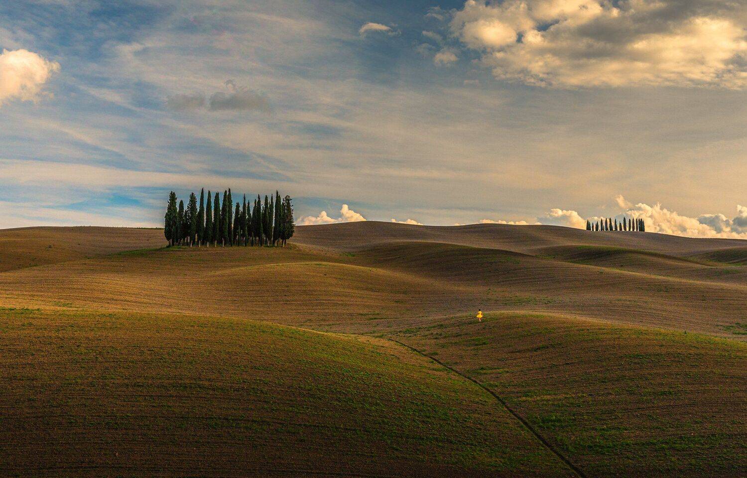 , Marek Biegalski