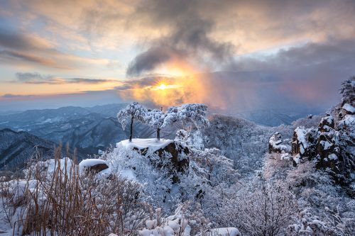 Winter dreaming