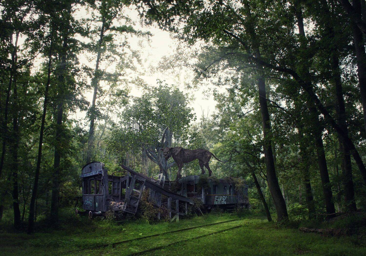 джунгли, вагон,, Sergii Vidov