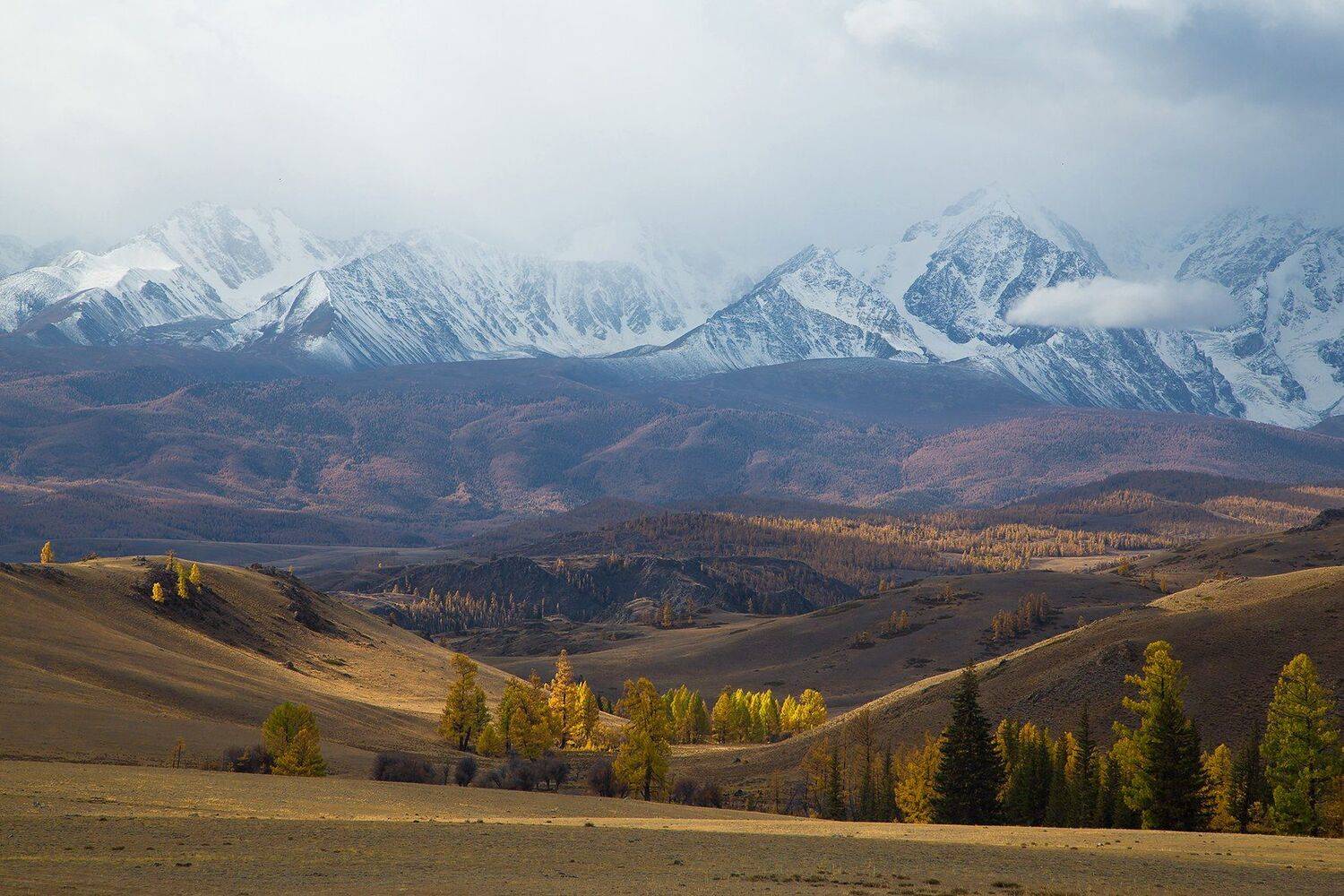 алтай, курай, осень, горы, Евгений Зинов