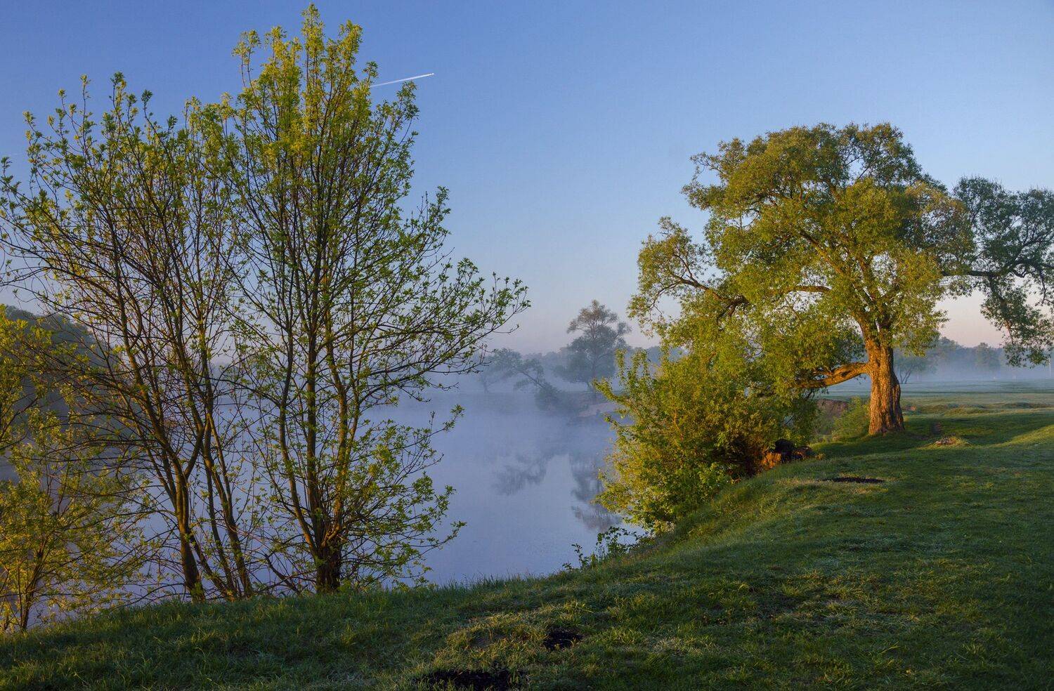 рассвет ,утро ,туман ,, Александр Березуцкий