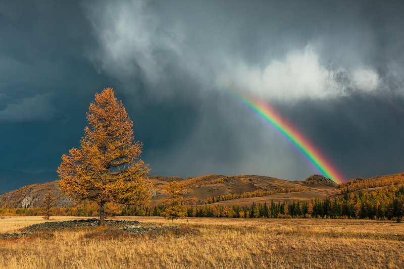 алтай, осень, золотая осень, горы, пейзаж, радуга Гроза фото превью