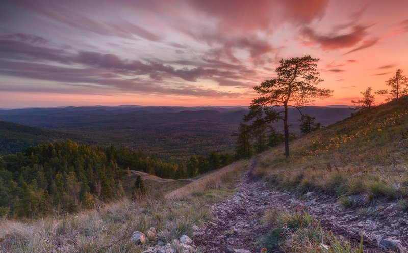 Портфолию фото превью