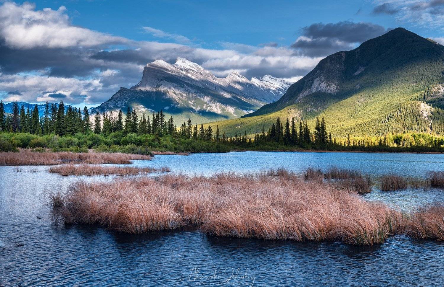 канада, Alex Mimo