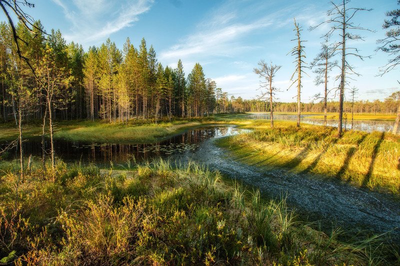 Глухое озеро фото превью