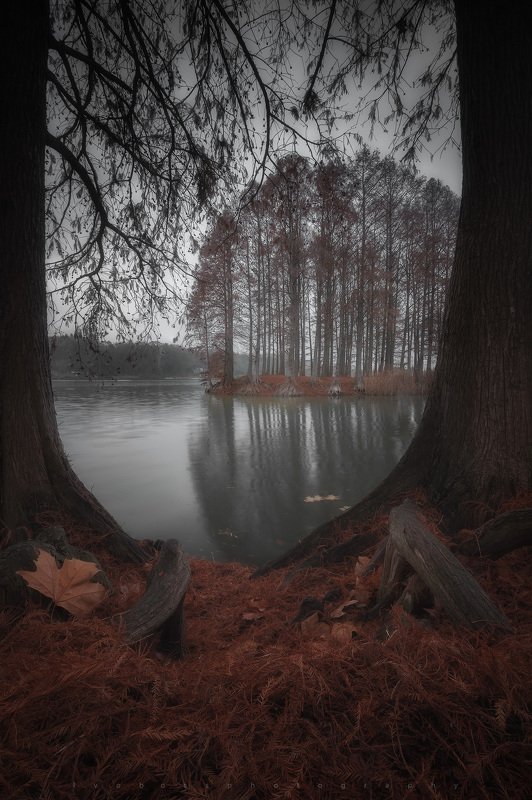 landscape Autumn 2019 фото превью