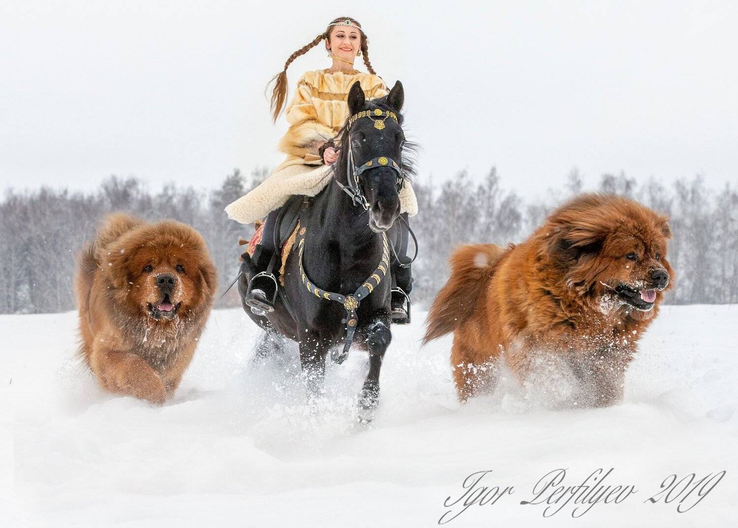 , игорь перфильев