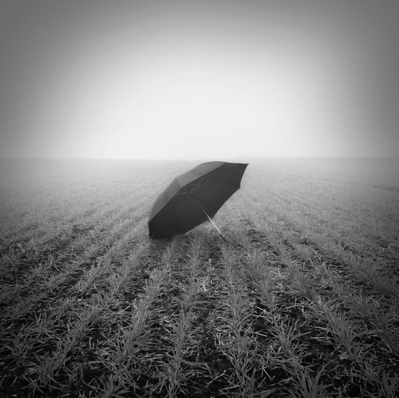 зонт туман поле туманное настроение фото превью