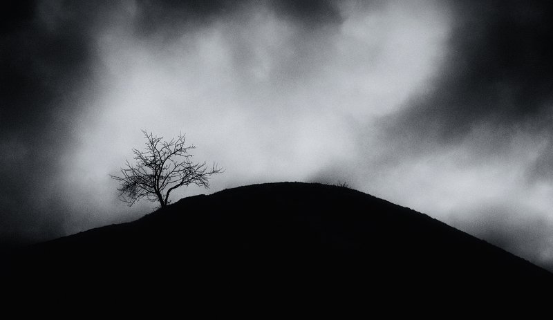 Возрождение фото превью