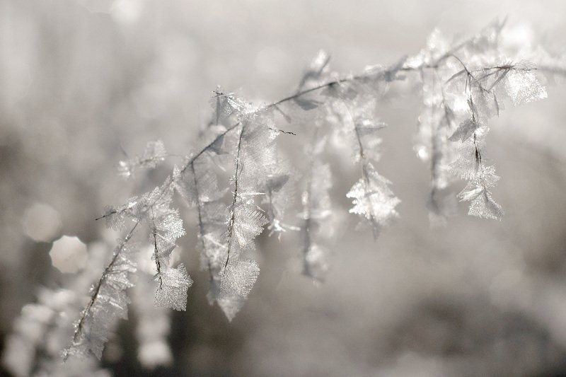 изморозь Мечты о полете ... фото превью