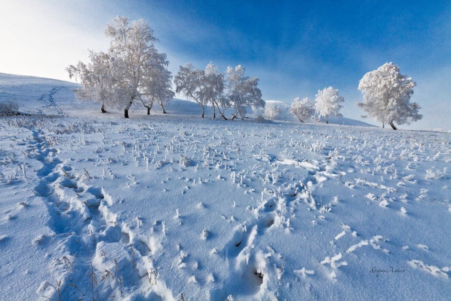 южный, урал, губерля орск, новотроицк, Качурин Алексей