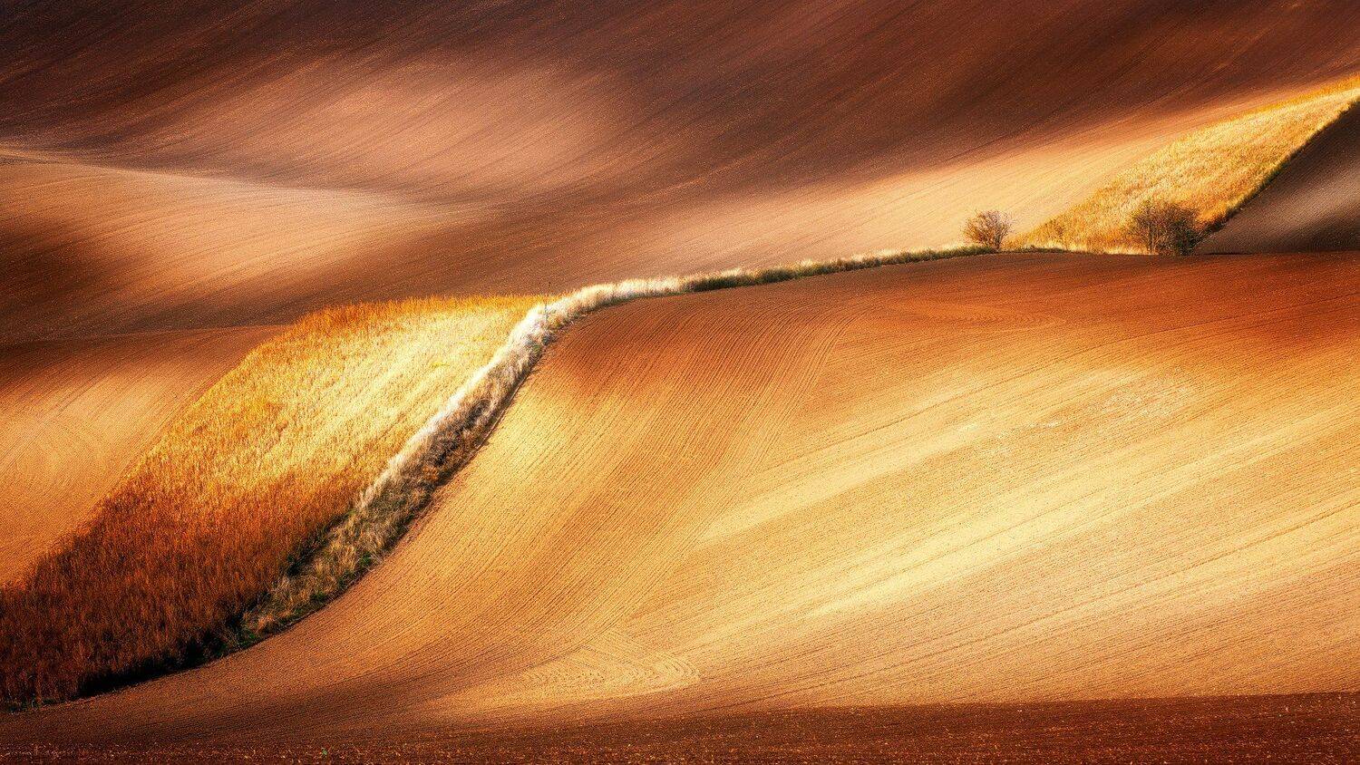 , Radoslav Cernicky