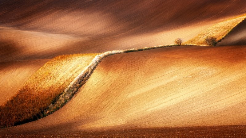 Golden waves фото превью