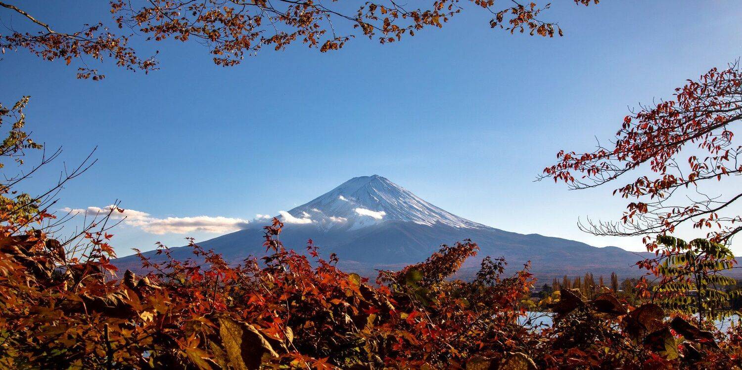 осень, природа, красный, клён, день, гора, япония, фудзи, путешествие,, Александр Игнатьев