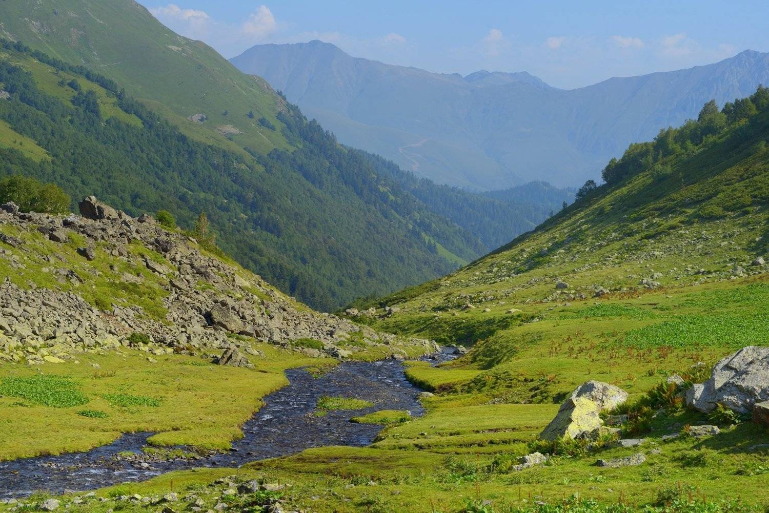 горы кавказ лето дукка, Александр Жарников