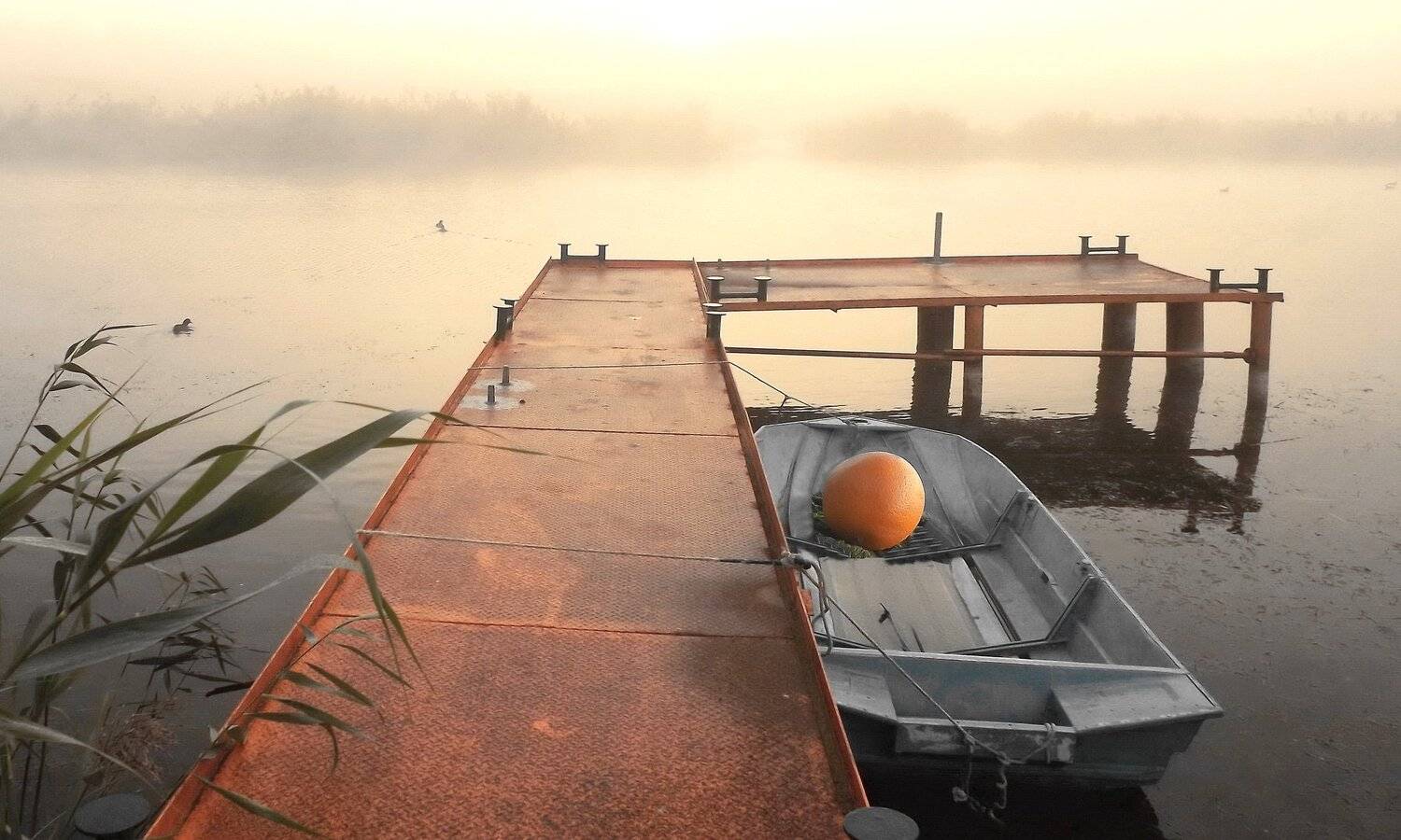 одесса, Сергей Кошелев