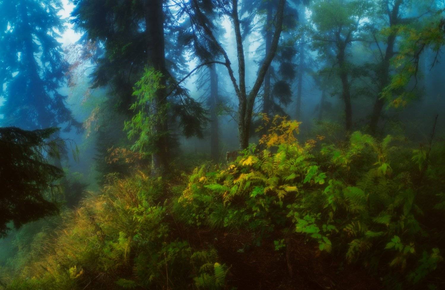 , Alexander Plekhanov