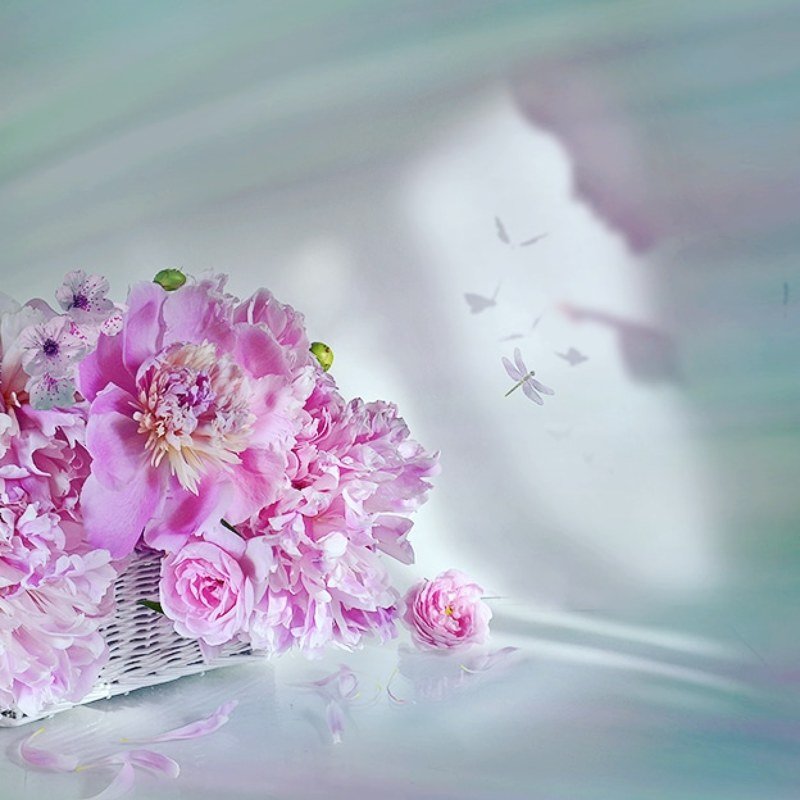 Натюрморт пионы корзина  стрекоза секрет радость любовь Зимняя мечта фото превью