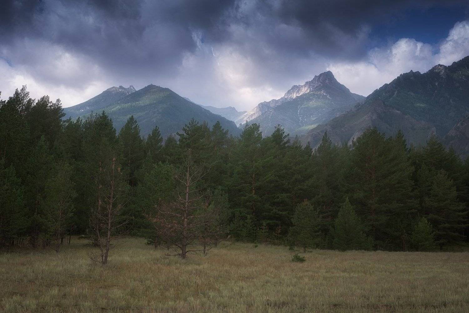 россия,бурятия,алла,долина,баргузинская долина,горы,деревья,тучи,пейзаж,фото,дмитрий подкопаев, Дмитрий Подкопаев
