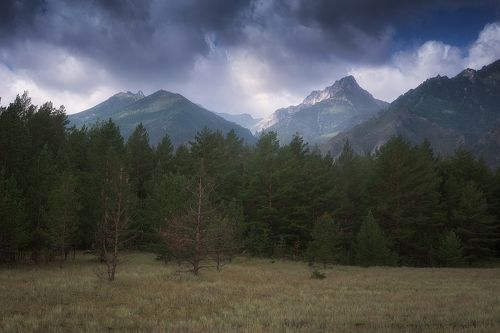 По дороге в долину.