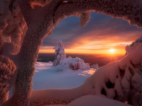 Взгляд зимы