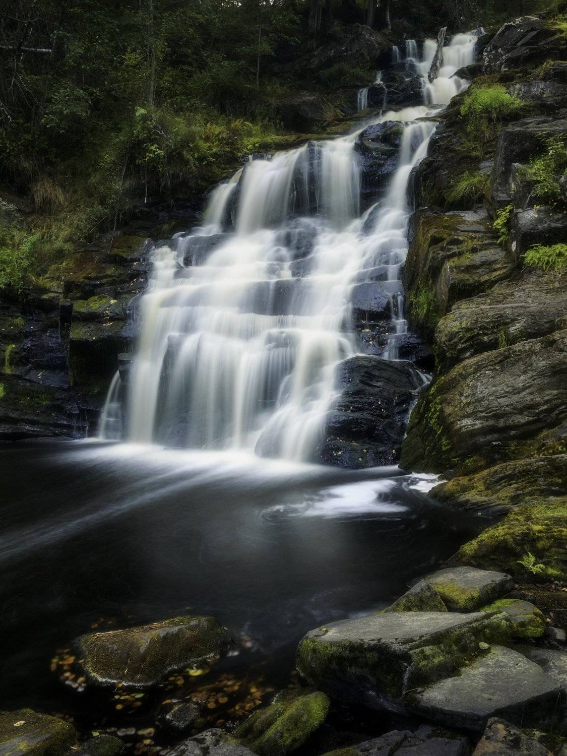 , роман фарберов