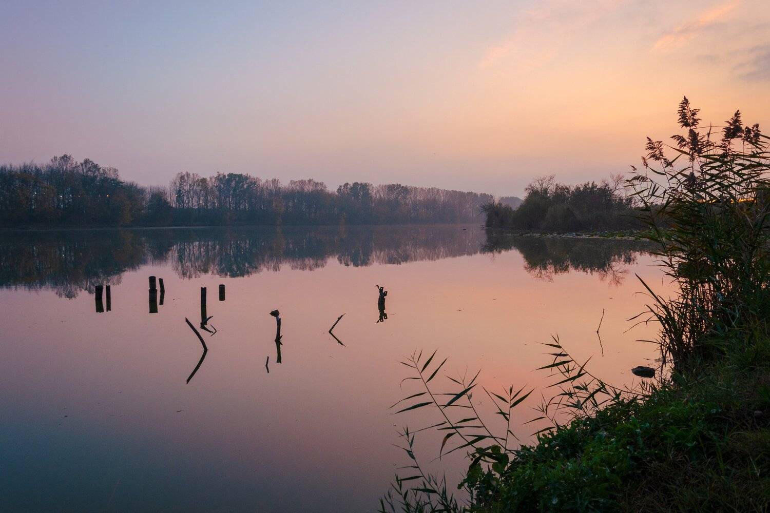 , Алексей Рыльский