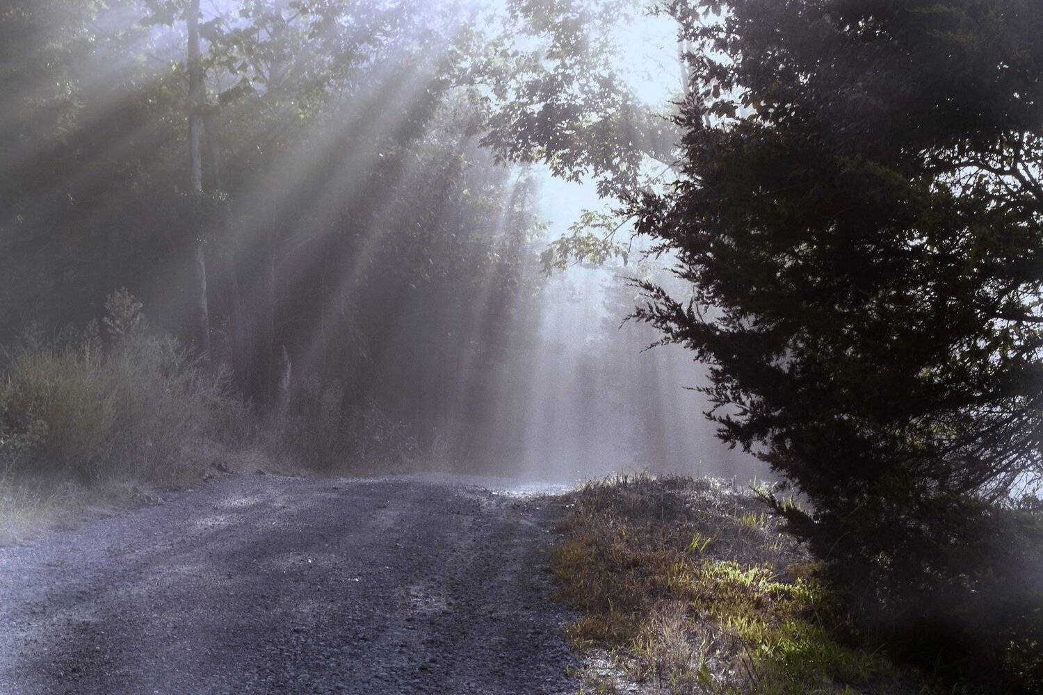 , Razgulyaev Aleksandr