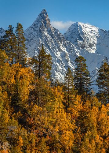 Горы Домбая