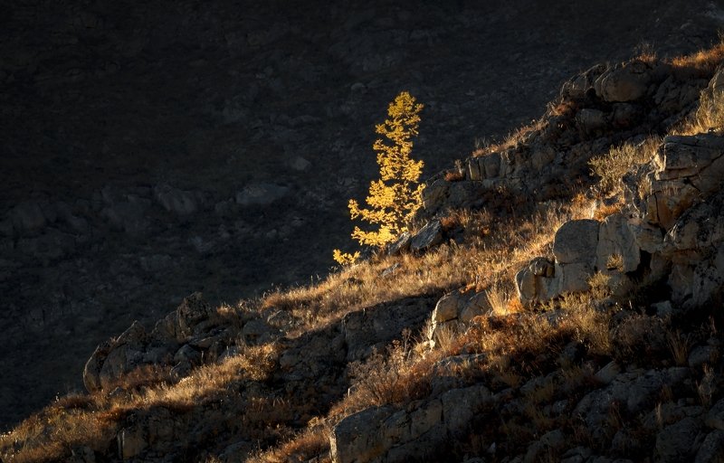На перевале Чеке-Таман фото превью