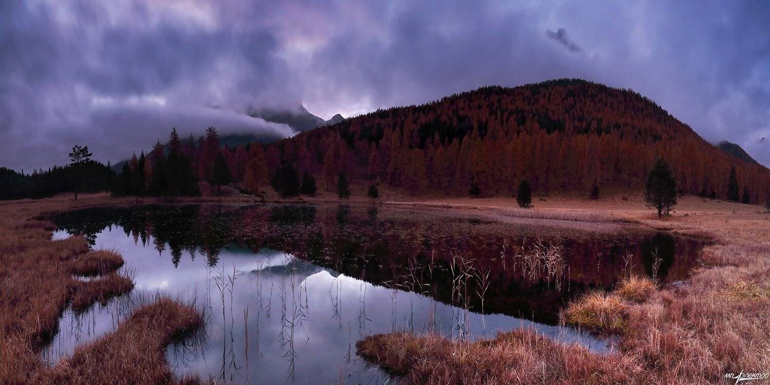 swiss, Матвеев Николай