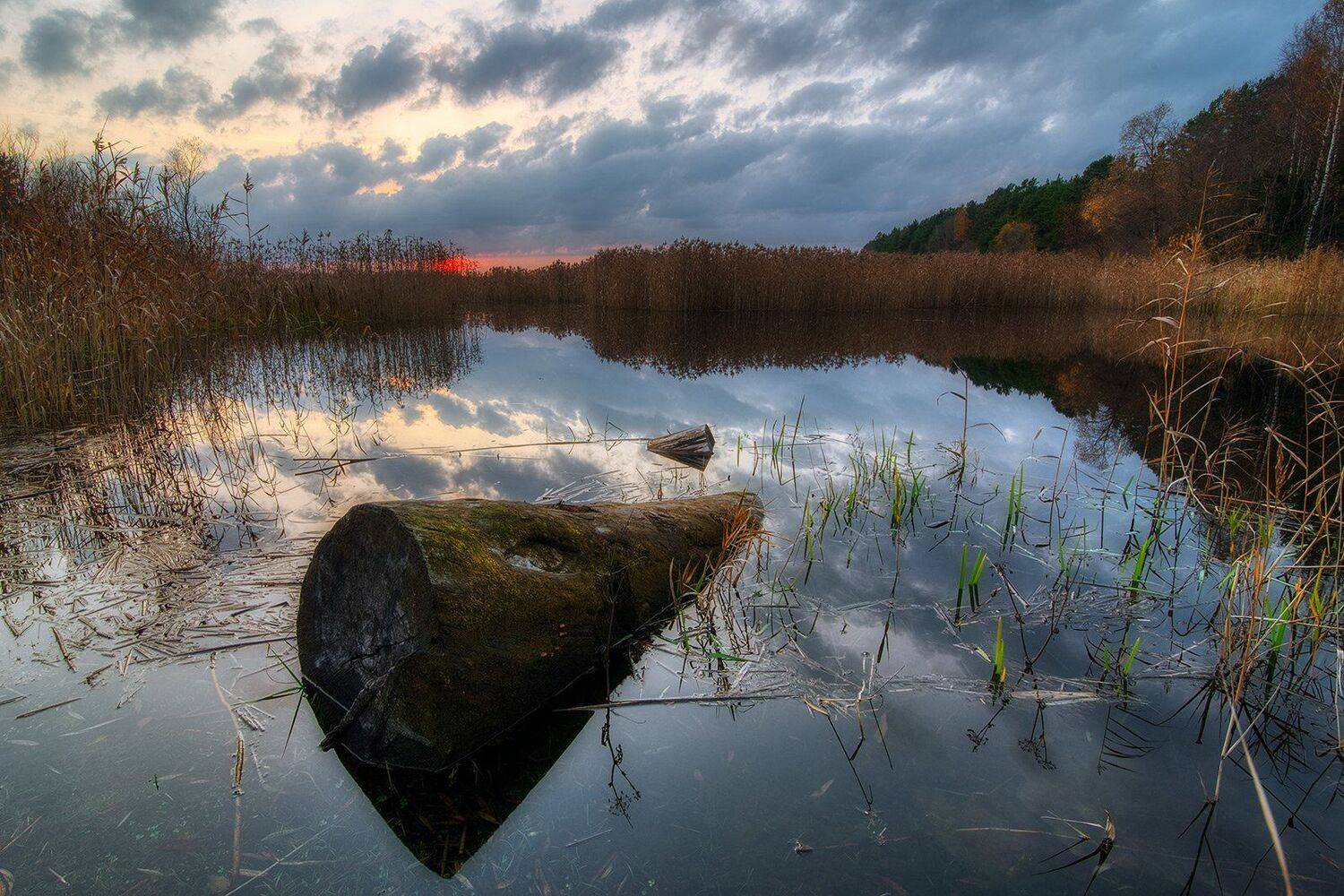 , Федотов Антон