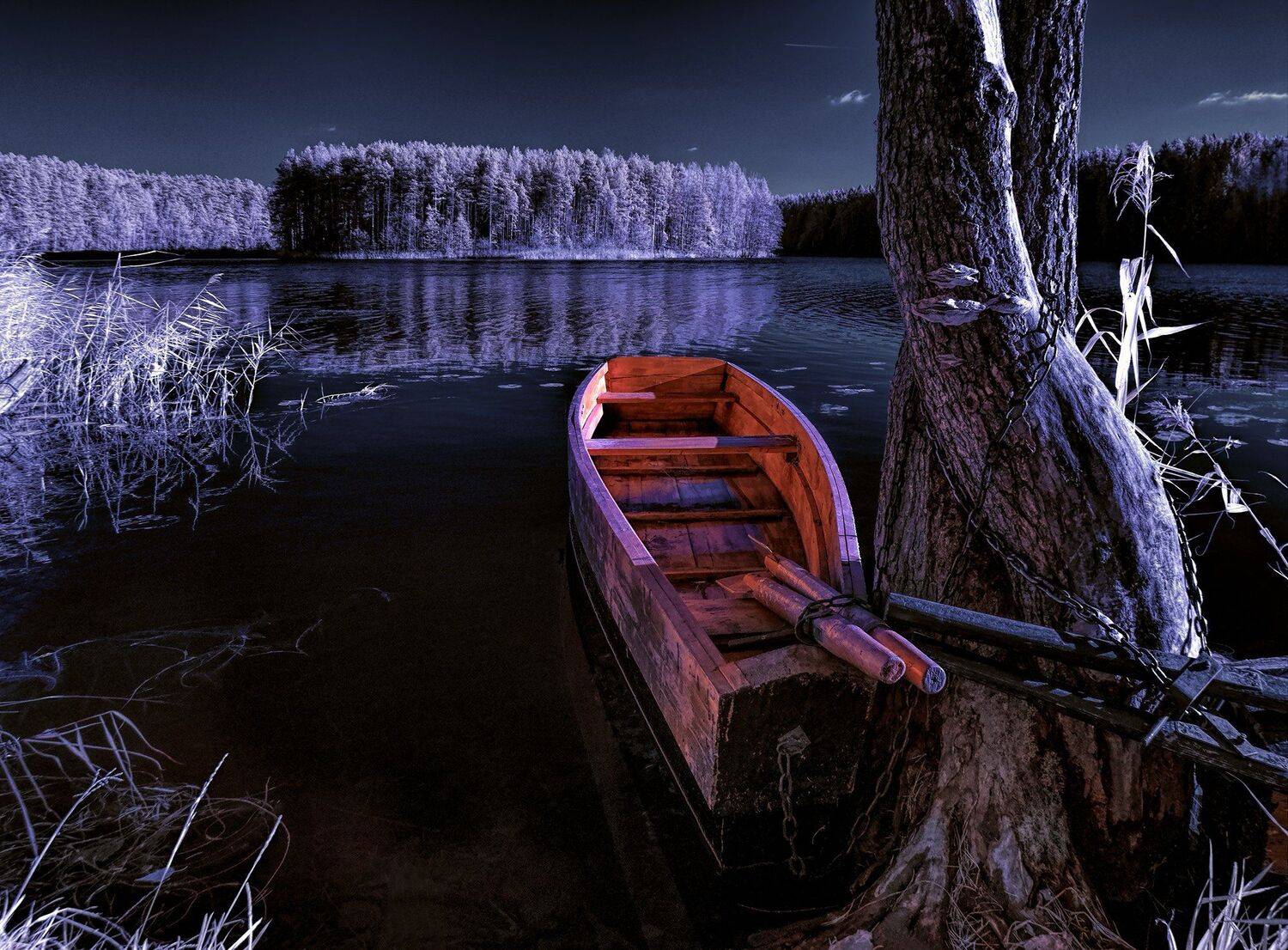 infrared,ик-фото,инфракрасное фото, инфракрасная фотография, пейзаж, осень, Sixten ( Сергей )