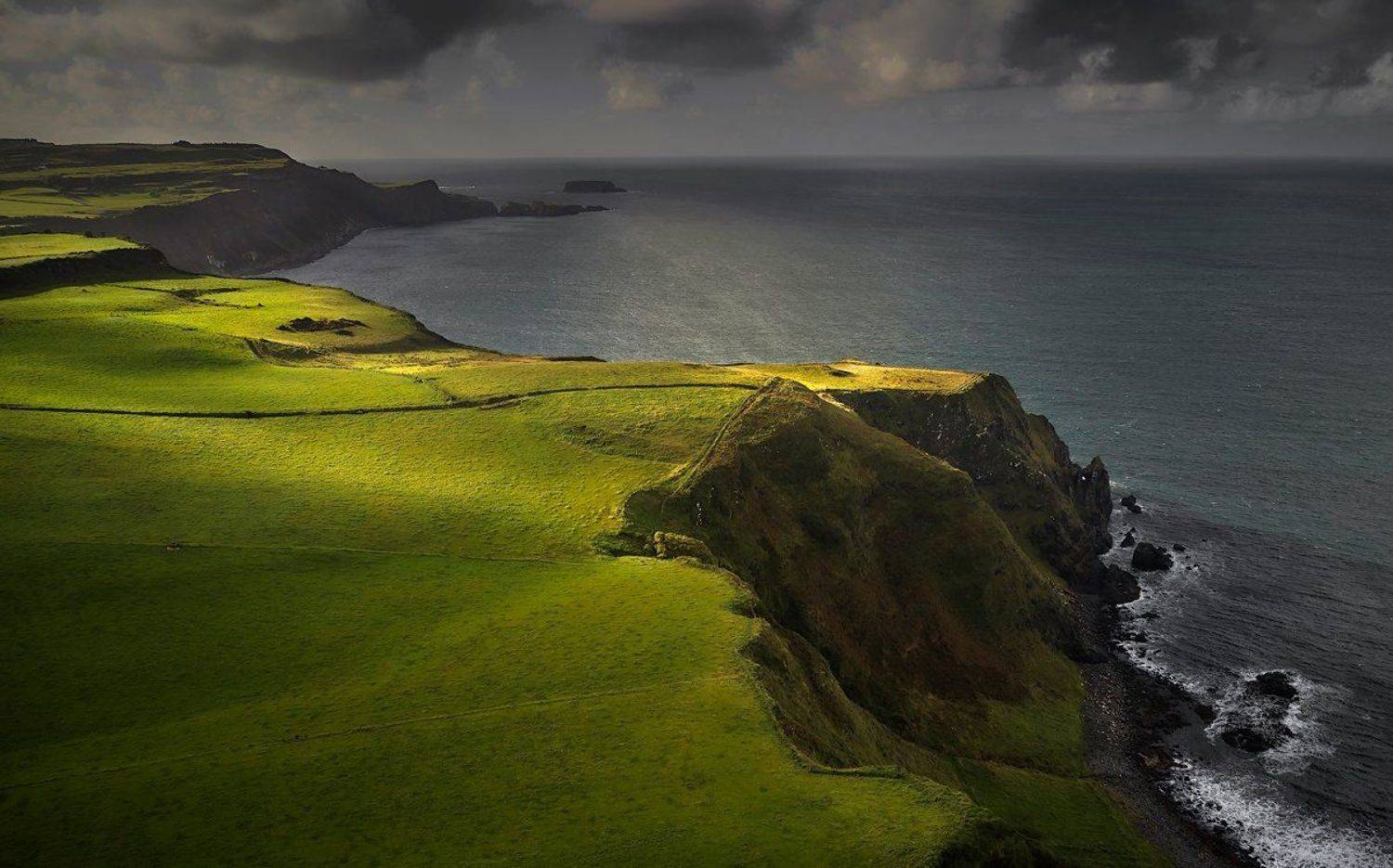 50 оттенков зеленого, Boris Bekelman